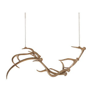 Caribou Antler Collection