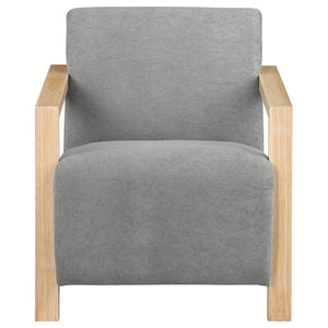 Diego Accent Arm Chair in Grey