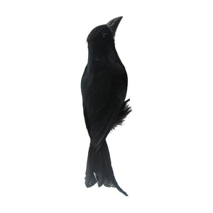 Set of 12 Black Crows