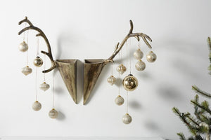 Caribou Antler Collection