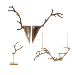 Caribou Antler Collection